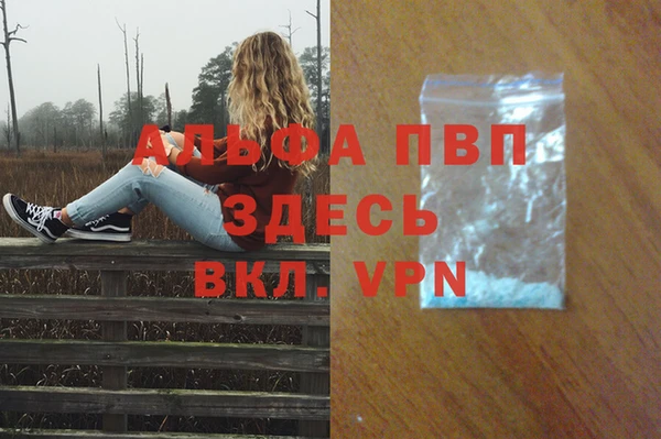 spice Дмитровск