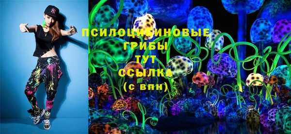 герыч Гусь-Хрустальный