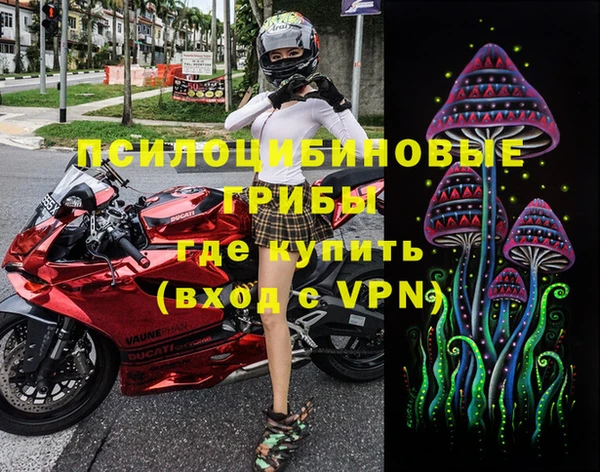 a pvp Дмитриев