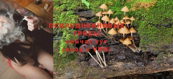 a pvp Дмитриев