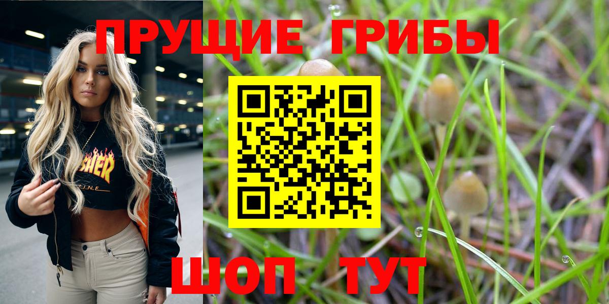 Псилоцибиновые грибы MAGIC MUSHROOMS  Вход с VPN  Можайск 