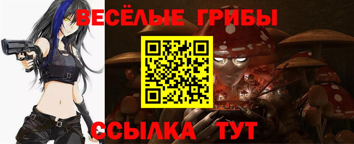 Галлюциногенные грибы Psilocybine cubensis  Галлюциногенные грибы Psilocybe  Можайск 