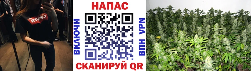 Канабис ГИДРОПОН  наркошоп  OMG   Можайск 